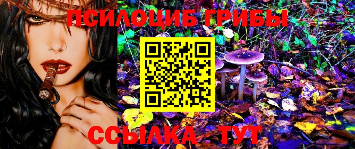 Псилоцибиновые грибы мицелий Ржев